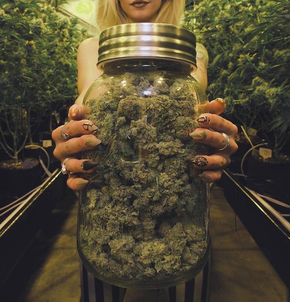 Big jar for some big buds 😎

#StonerFam #Mmemberville