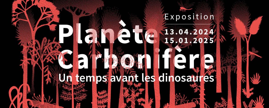🗓️ À vos agendas
Jusqu'au 15 janvier 2025 
Au @MuseumGrenoble à #Grenoble
[Exposition 'Planète #Carbonifère']
#AuvergneRhôneAlpes #Isère #Musée

grenoble.fr/3144-planete-c…