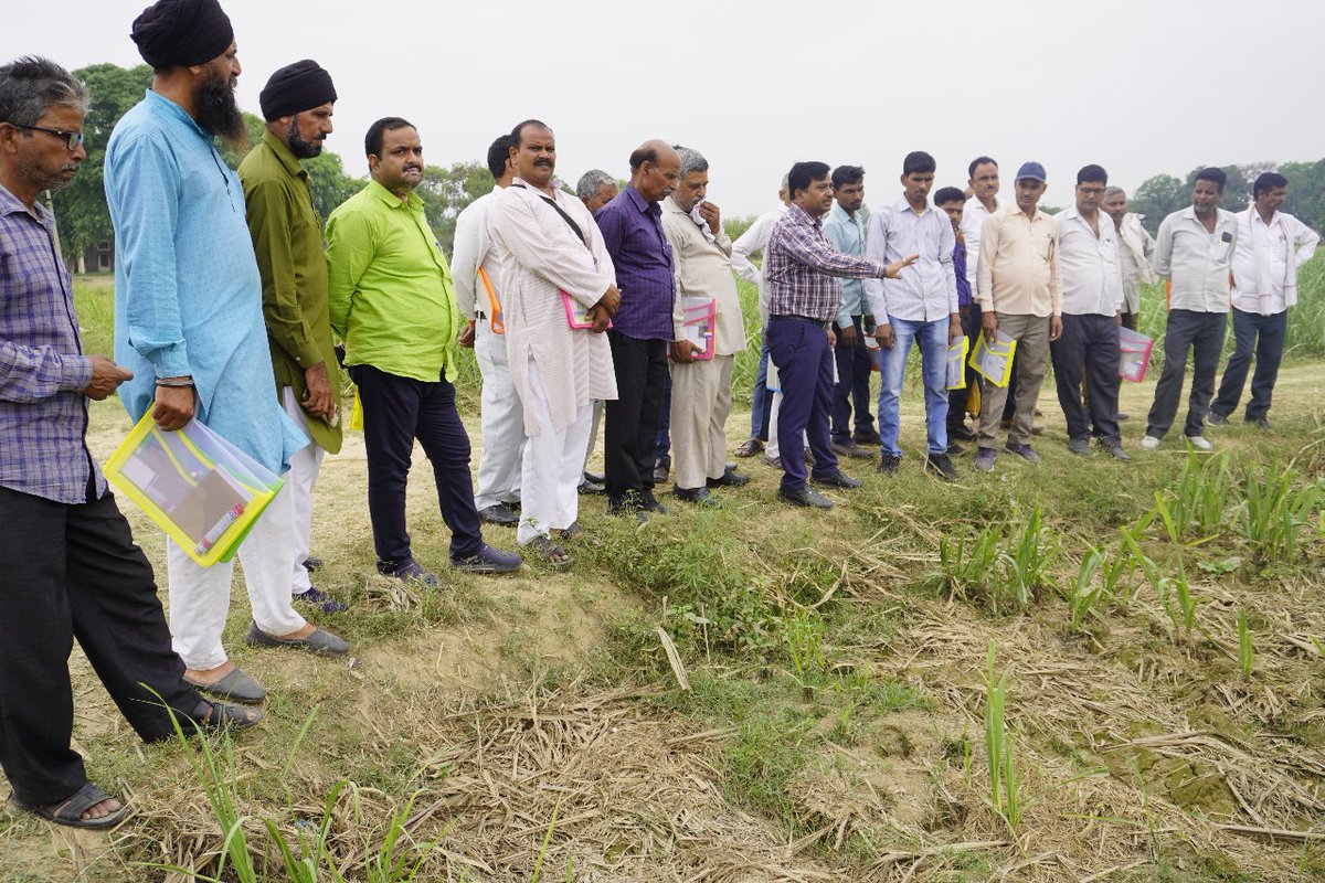 Cane Development UP tweet media