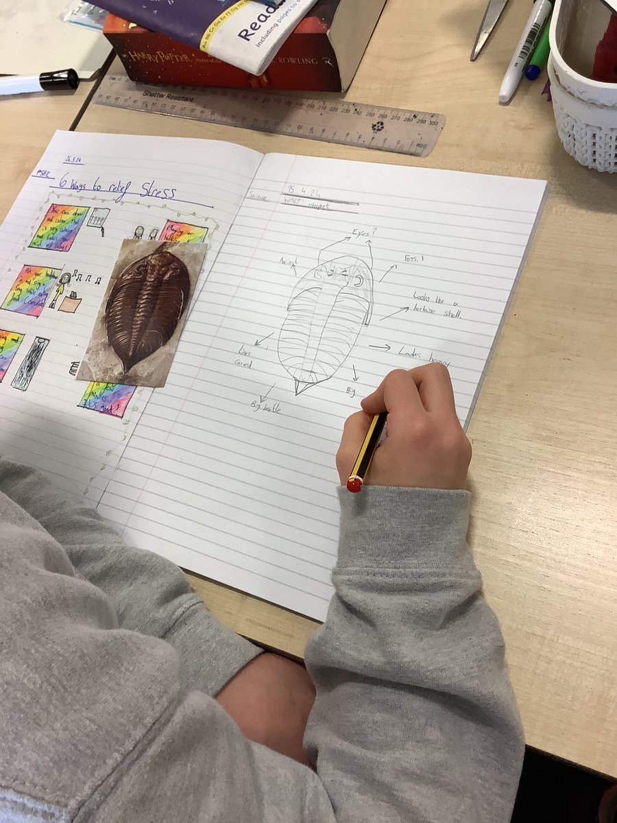 EKellyStAnnes's tweet photo. We had a busy first day back of term 5 in year 6 at WW culminating in investigating fossils to find out what the organism may have lived, eaten and looked like. @StAnnes_EHS @JCockramStAnnes https://t.co/S2N2T7x8sv