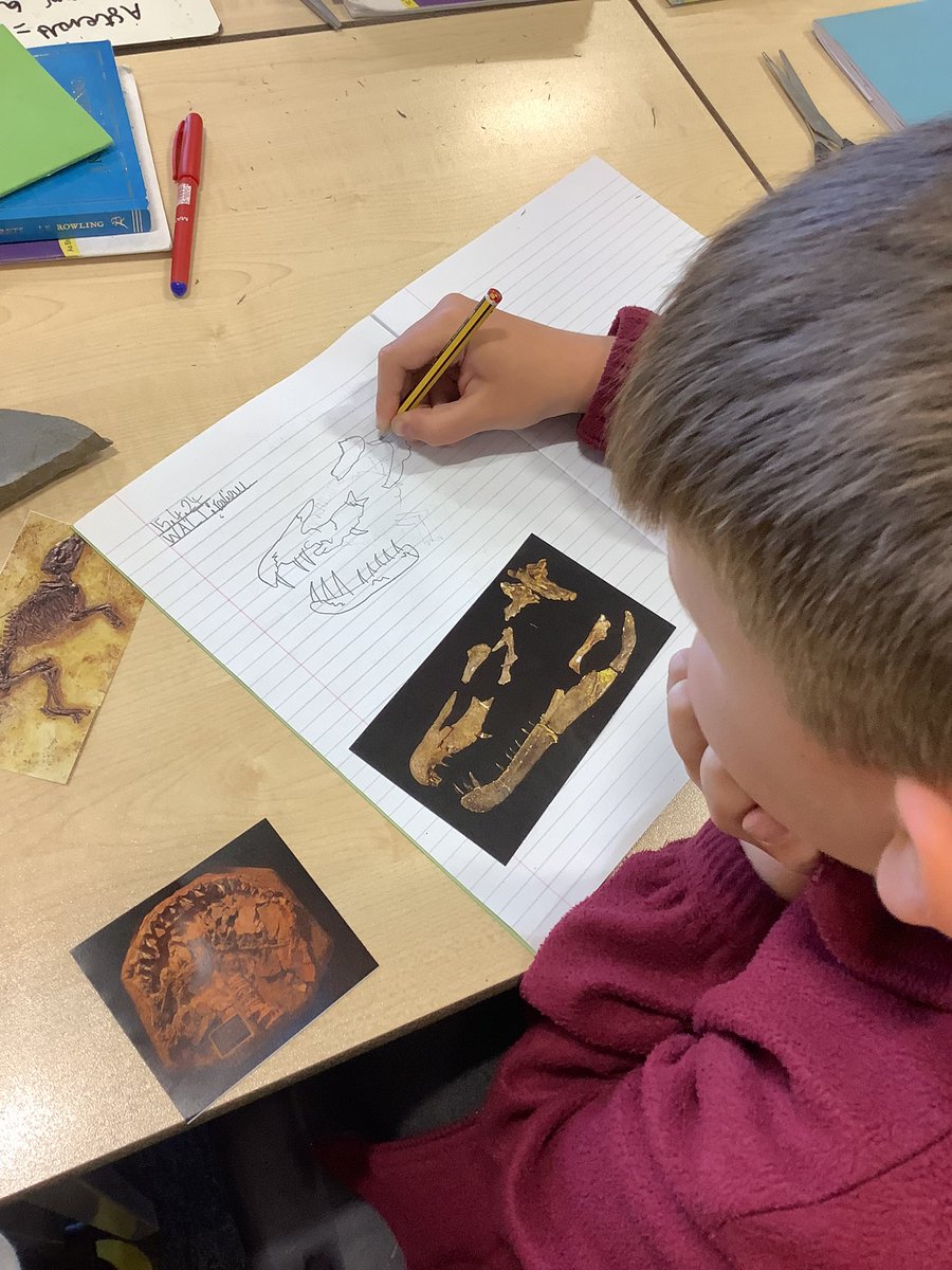 EKellyStAnnes's tweet photo. We had a busy first day back of term 5 in year 6 at WW culminating in investigating fossils to find out what the organism may have lived, eaten and looked like. @StAnnes_EHS @JCockramStAnnes https://t.co/S2N2T7x8sv