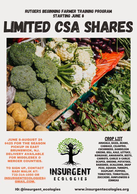 Our family’s org, @insurgentecologies on IG, is offering CSA shares 6/8-8/24 in the central NJ area. We believe growing our own food is central to liberation in all its forms. DM to reserve a share, or for more info about what we do & how you can support us and/or get involved!