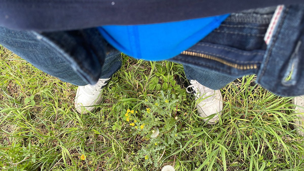 Paule99990's tweet photo. Wenn die Blumen blühen, blüht auch was anderes 😜#frühling https://t.co/i2Jsd79RqB