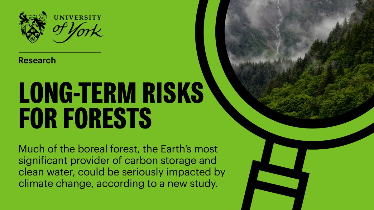 'We need to start thinking very hard now about what it will take for all of us to live justly in those possible worlds.” The boreal forest, covering much of Canada and Alaska, may be among the worst impacted by climate change, new #YorkResearch has found: bit.ly/3VS3I2j