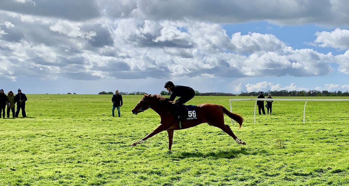 🌟 Lot 59 @Tattersalls1766 Craven @BrzUps is a filly from the first crop by @DarleyEurope’s GHAIYYATH 🌟 Consigned by Glending Stables, she is out of the winner ELOPE and a half-sister to CHAZZESMEE, recent winner of the Irish Lincoln #ReadAllAboutIt