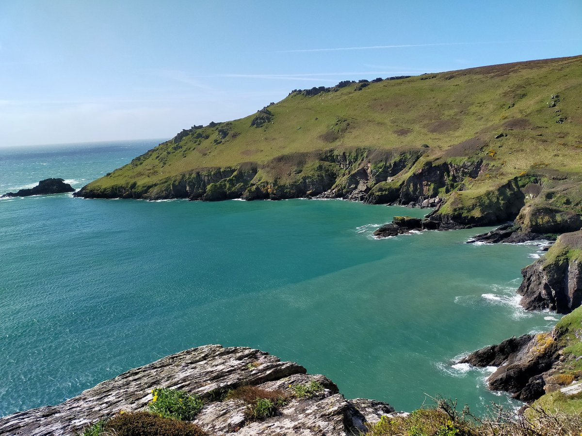 JanTrathen's tweet photo. Morning stroll #Bothead #Salcombe #Southwestcoastpath
#Wellbeing https://t.co/MfW30veq6J