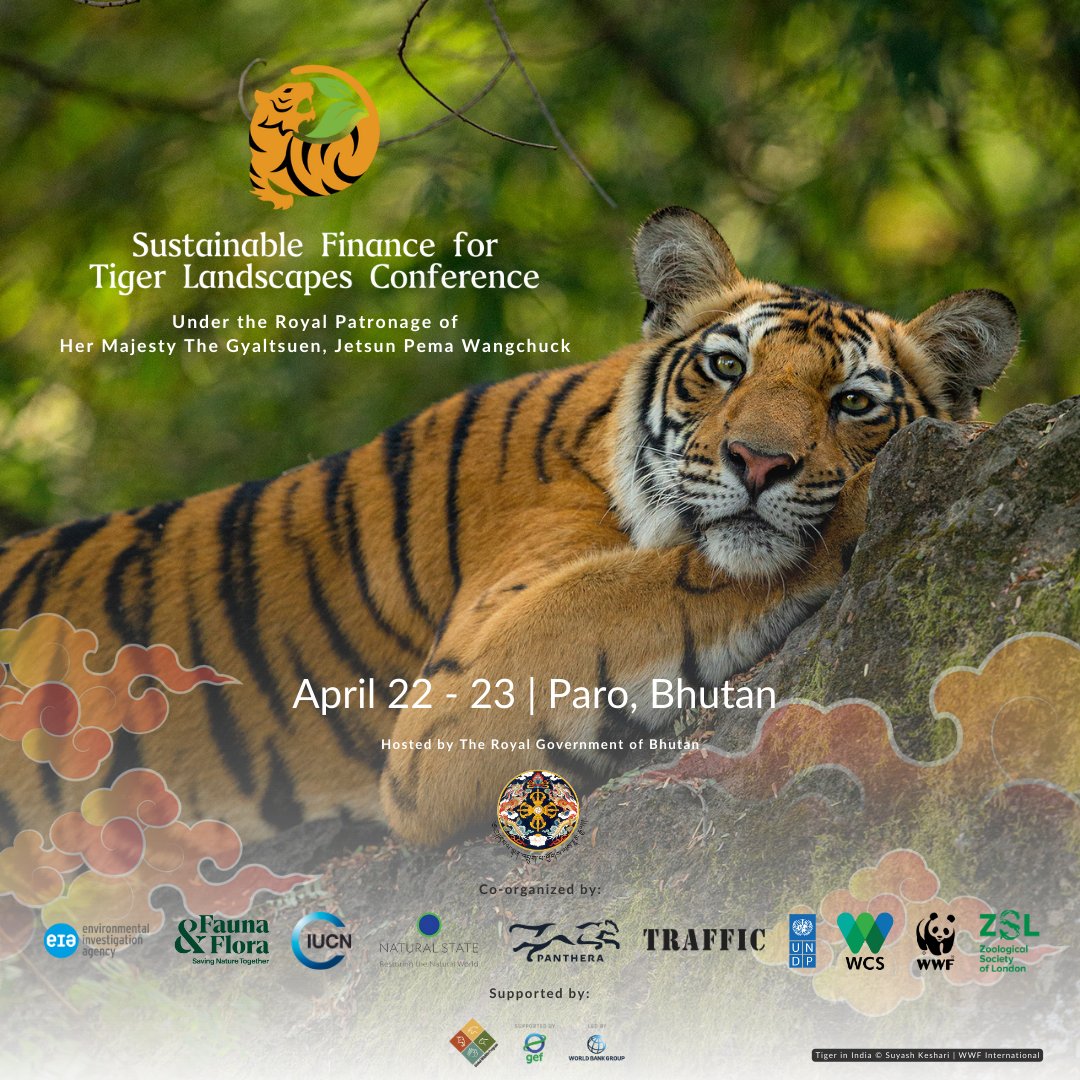 Under the Royal Patronage of Her Majesty The Queen of Bhutan, Jetsun Pema Wangchuck, 🇧🇹 Govt is hosting Sustainable Finance for Tiger Landscapes Conference📷 22-23 April 2024. It's co-organized by Tiger Conservation Coalition: tiger-finance.org #investintigers #tigerfinance