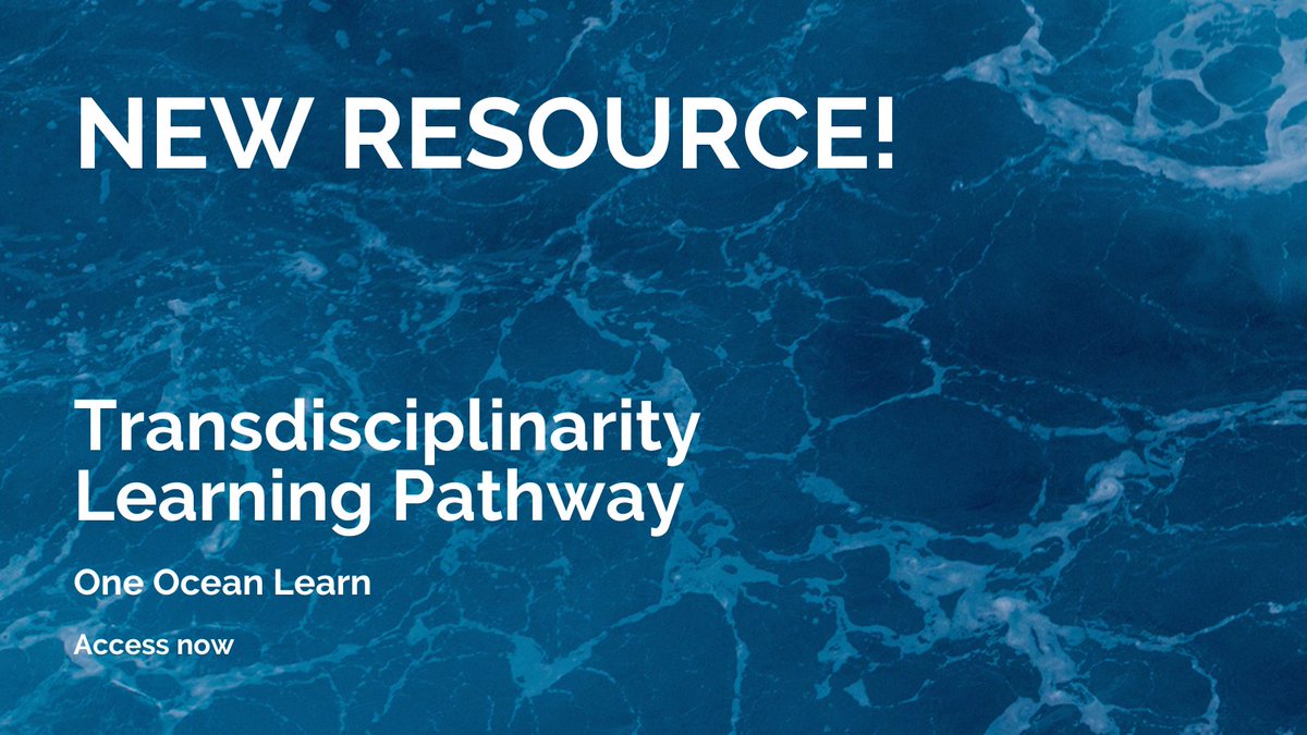 How do we best differentiate between ‘strong’ and ‘weak’ transdisciplinary methods? @OneOceanHub have launched a new learning pathway focusing on crossing disciplinary boundaries. Find out more here ➡️ loom.ly/6L_eM0o
