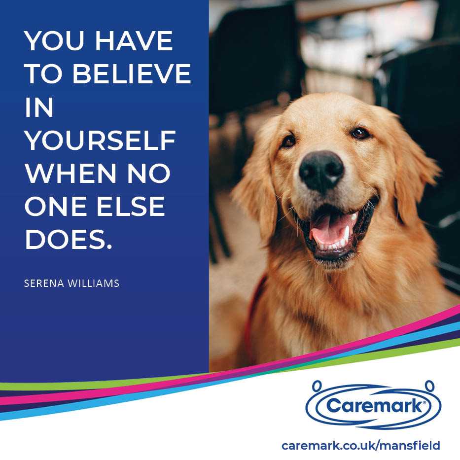 spm_qc's tweet image. Kickstart your week with some serious motivation! 💪

Don&apos;t let the Monday blues slow you down – chase after your dreams and goals with unstoppable determination! ✨

#CaremarkMansfield 💙

#PositiveVibes #MondayVibes #MondayFeels #Caremark #MotivationMonday #KeepGoing