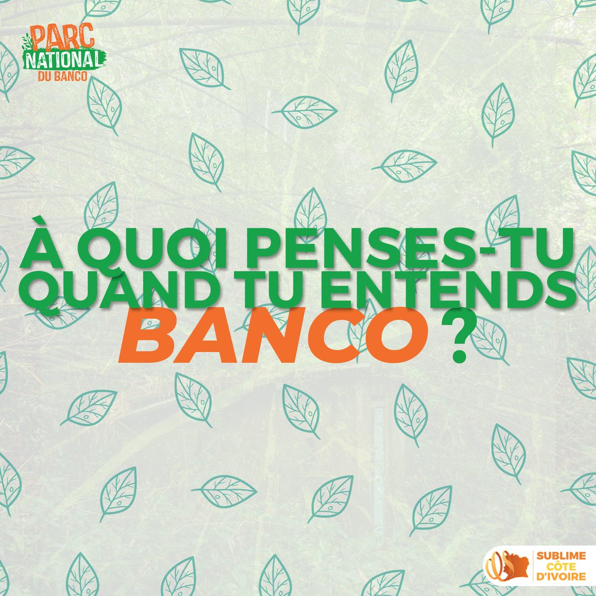 parcdubanco's tweet photo. Parce que ton avis compte nous acceptons et nos restent ouverts. 💚 https://t.co/rsDaOAMY3w