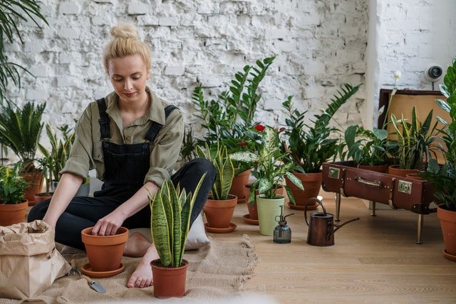 Want to celebrate #nationalgardenmonth but don’t have the
yard for it? Say hello to indoor plants! Learn how they help
keep you healthy:
rightasrain.uwmedicine.org/life/leisure/h…
benefits-indoor-plants