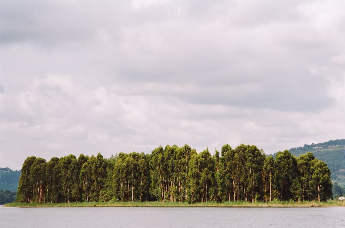 Islands.

From 'Life in Southwest Uganda & the Batwa' series.