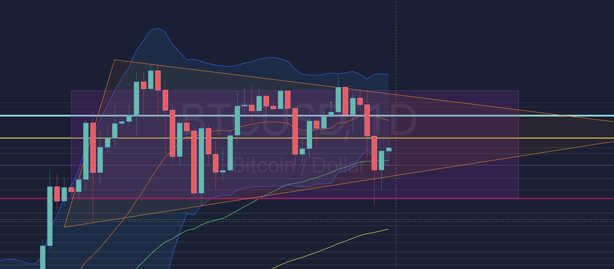 Lexa Moon Crypto tweet media