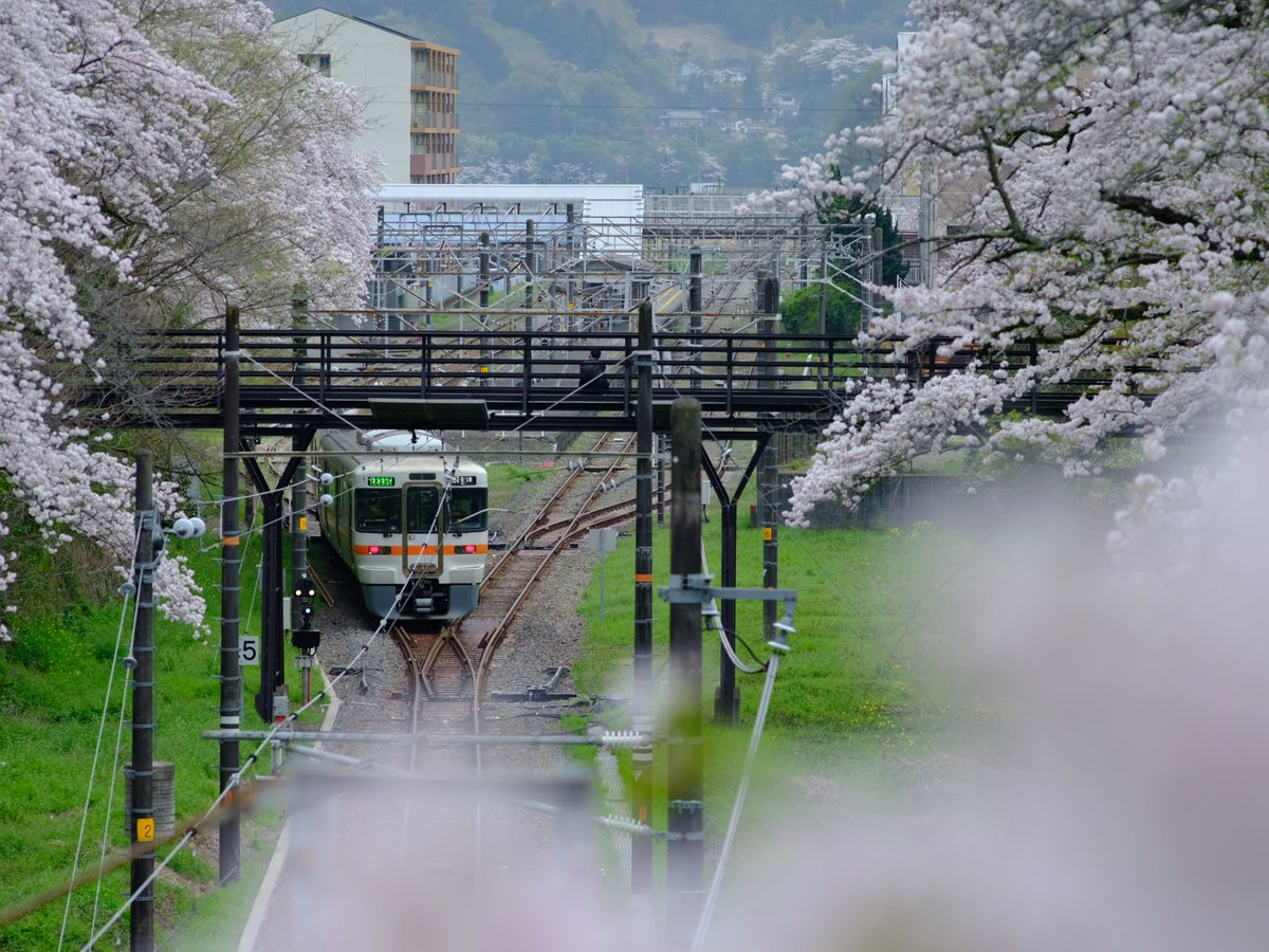 元東海道本線
丹那トンネルが出来るまで #御殿場線 が #東海道線 だったんですってね。
山越えの補機取り付けの基地が山北だったんですってね。
写真撮りに色々出掛けるようになるまで知りませんでした。

NIKKOR-Q 1:4 f=25cm
GFX50R
#フジフイルム #fujifilm 
#ニッコール #NIKKOR 
#オールドレンズ