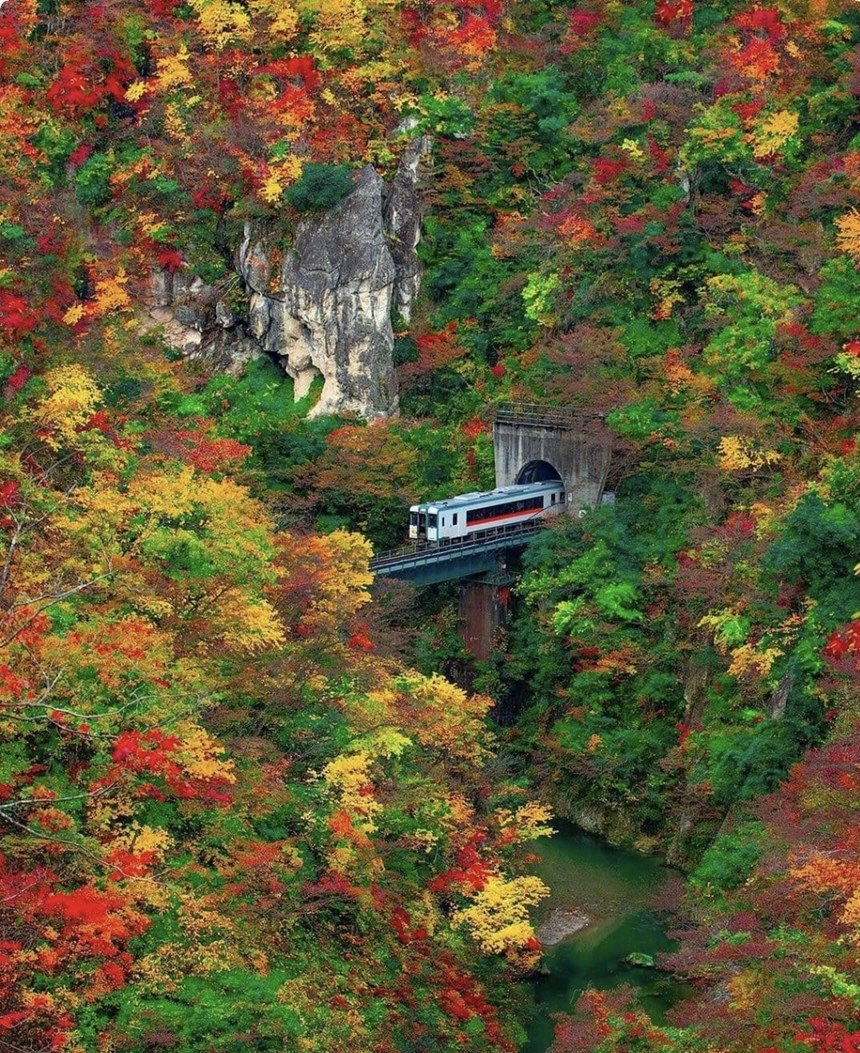 Japan 🇯🇵
#naturephotography #nature #landscape