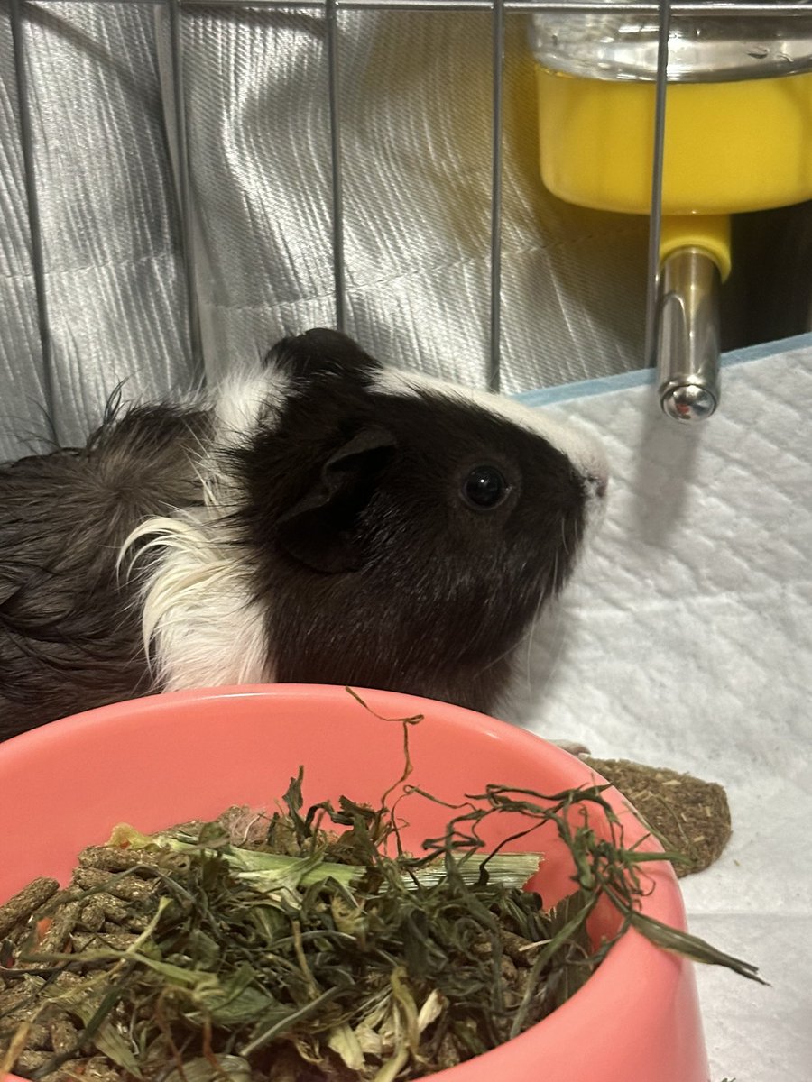 福利姬炉分享的黄推图片2 - 网红私拍内容