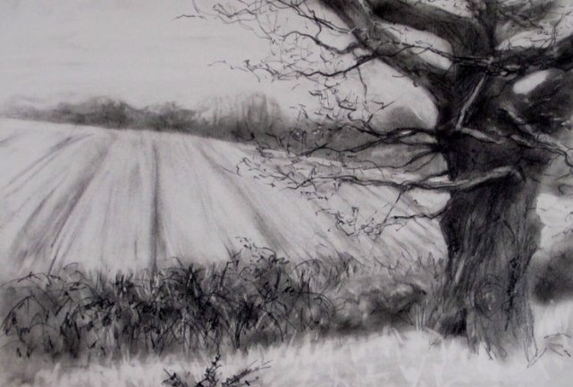 Members Monday

Each Monday we will be highlighting one of our Colchester Art Society members, taking images from our members galleries on our website. 

CAS Member: Sue Thompson

View over the Ditch, Graphite on paper, 22 x 15 cm

#ColchesterArtSociety #CreativeColchester