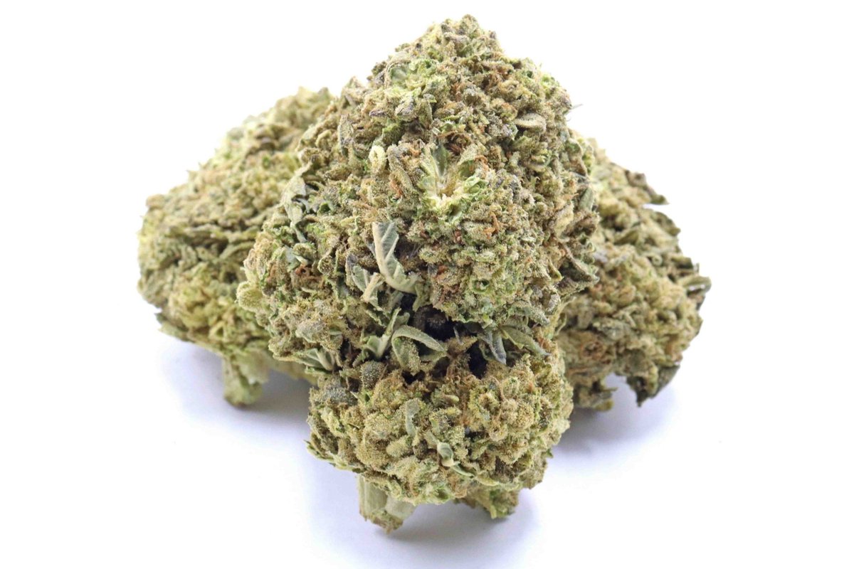 The Mango Dream Strain is an Indica dominant one, which is very fast and very effective in making you feel better. Hybrid – 50% Sativa / 50% Indica Effects: Cerebral, Energizing, Euphoria, Focus, Happy, Relaxing buff.ly/3TAeJSX