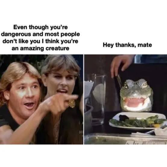 Steve Irwin $CRIKEY tweet media