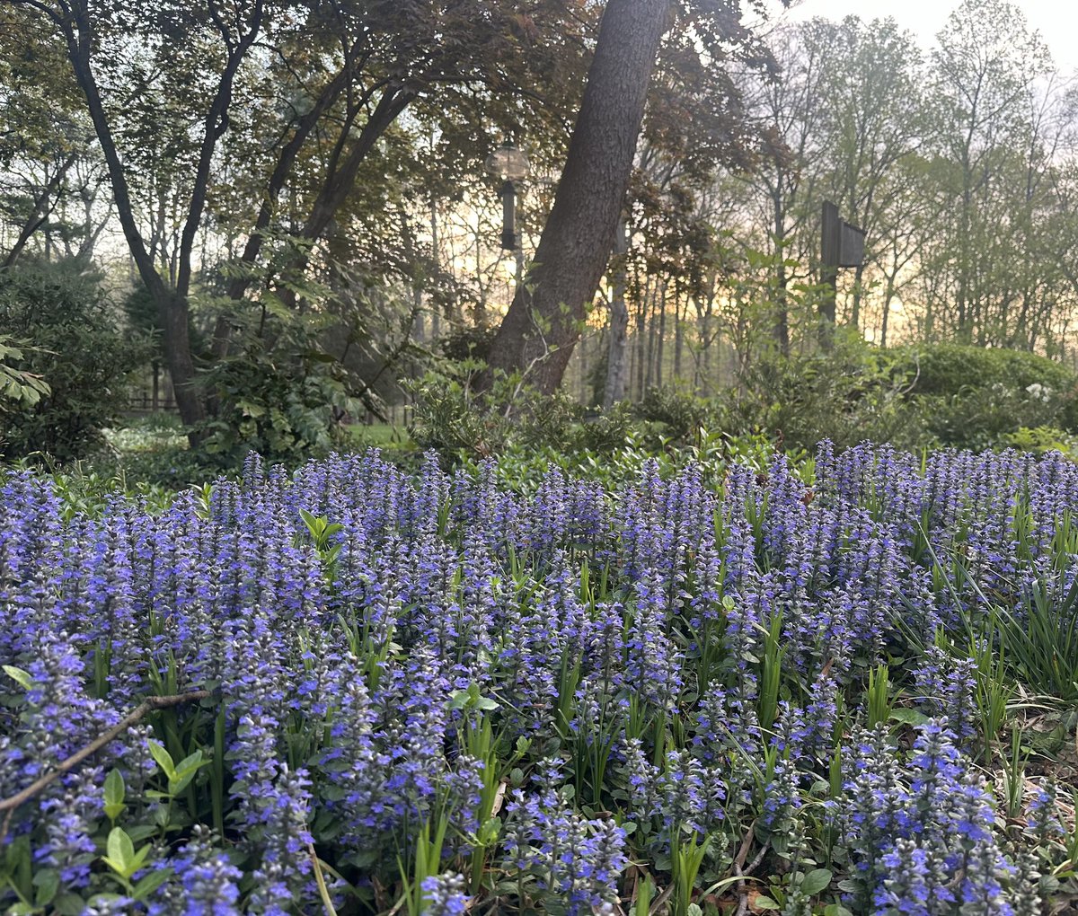 Good morning from Washington, where it finally feels like spring. The Supreme Court begins its last argument session of the term today. The Court will also issue orders today and opinions tomorrow.