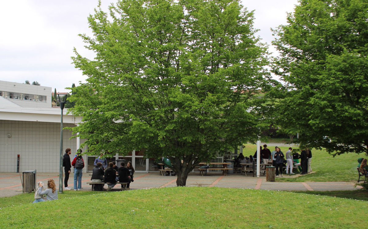 lycee_saliege's tweet photo. Début des #concours #CPGE 2024 :
Après 4h de maths #Ecricome ce matin, pause méridienne bien méritée pour les candidats à #saliege.
Bon courage à tous ! https://t.co/LUXDWTHtyR