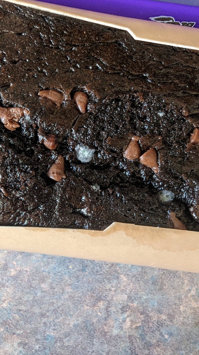 TheLeeFamily18's tweet photo. @AldiUK brought this yesterday from Farnborough but didn't manage to eat it after filling up on BBQ, thought I'd treat myself to a slice today after lunch and it's mouldy! Week worth of date left 😮‍💨 Might want to check the rest of the stock! https://t.co/FVuc4PregQ