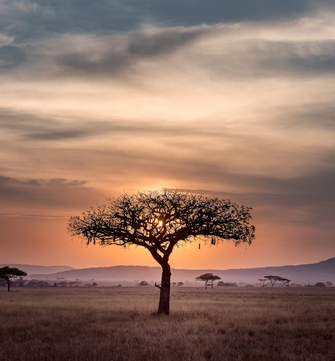 🌍 Join the sponsored Climate Change Course in Arusha, Tanzania, from Oct 21 to Nov 1, 2024! Applications open for a sponsored 10-day course on climate change by CATER. Enhance your skills to tackle pressing global challenges. Apply now: forms.gle/GQDEi8XLRhVYb4… #ClimateChange