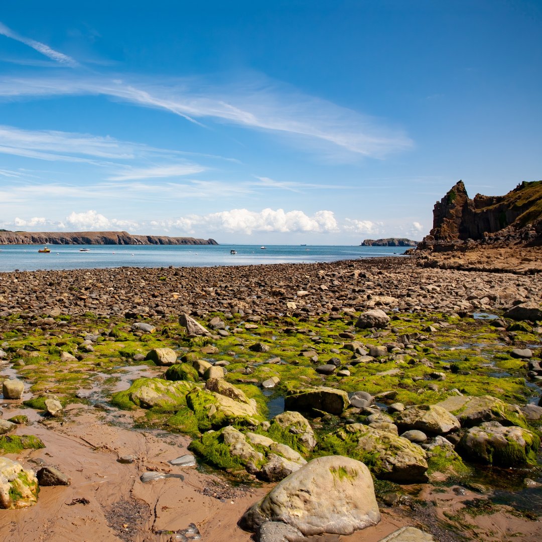 How well do you know Pembrokeshire? Can you guess which beach this is? 🏖️⁠
⁠
Some of you may spot this one but it's not one that gets mentioned often when we ask about your fave beaches.
⁠
#visitpembrokeshire #visitwales #coastalcottages #wanderlust