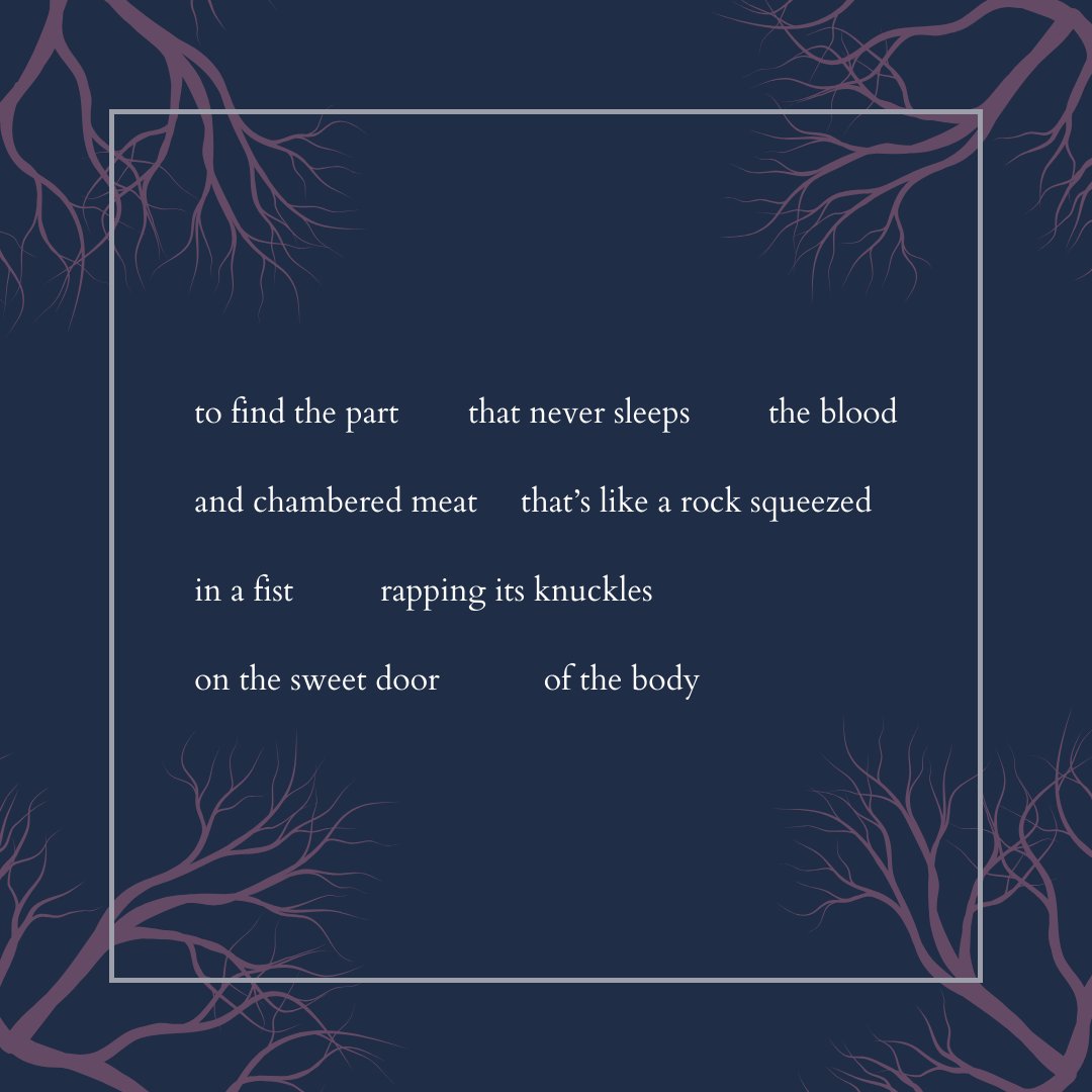 You can find the rest of Saara Myrene Raappana’s poem “Happily Ever After” by purchasing her Juniper Prize winning book Chamber after Chamber on our website at ow.ly/SVTW50QGkeE. #poetry #juniperprize