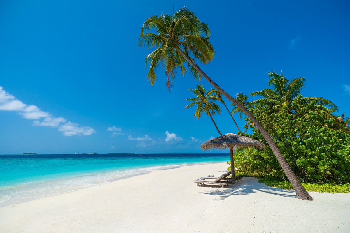 Capture the picture-perfect beach moment at Milaidhoo. Let the azure waters and pristine sands frame your memories in your story of a small island.
