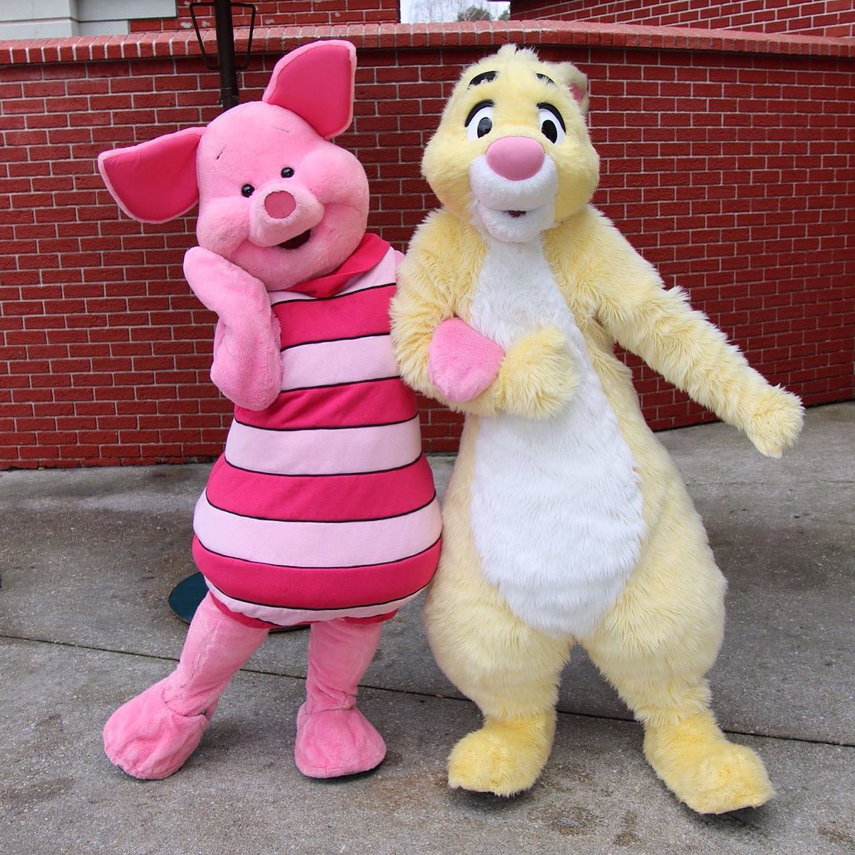✨ 🐽 🐰 ✨

#disneylandparis