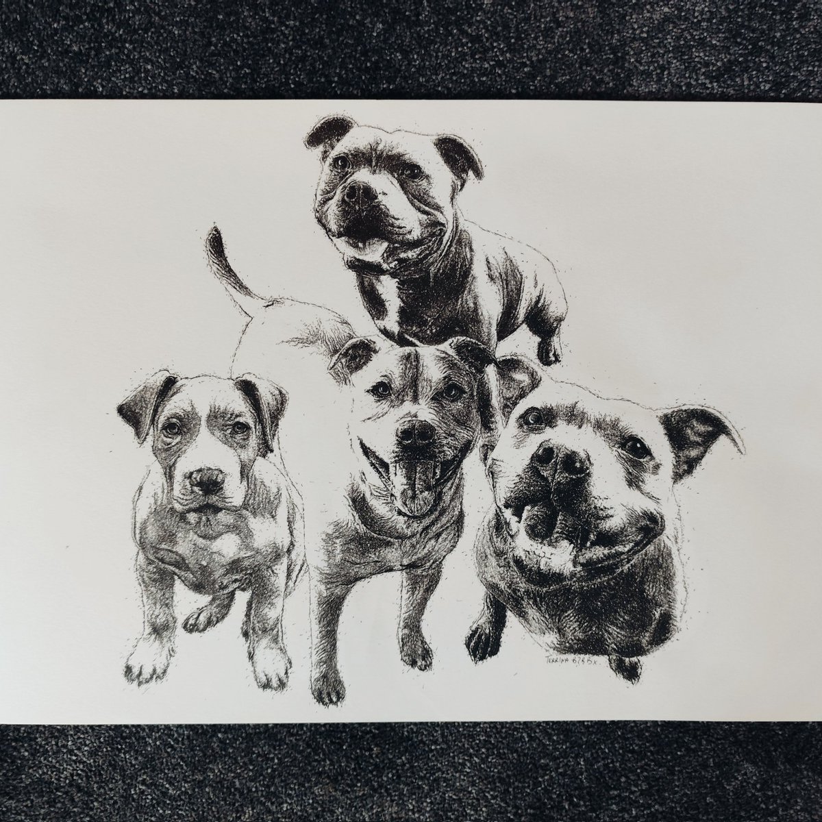 I love dog commissions 😍🐶
#dogportraits #dogcommissions #petportraits #penart #artist #illustratiin #bullybreeds #tourettesawareness #disabilityawareness