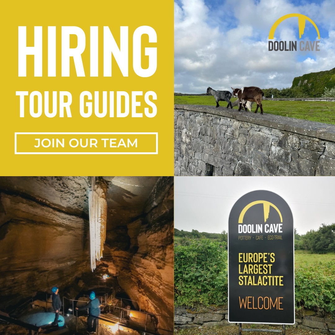 #JobFairy 🧚 We are hiring tour guides ✨ We are looking for an active, confident and outgoing person. - Competitive wages and friendly working hours. - English is essential. Please send your CV to Jennie at tours@doolincave.ie #doolin #clare #clarejobs