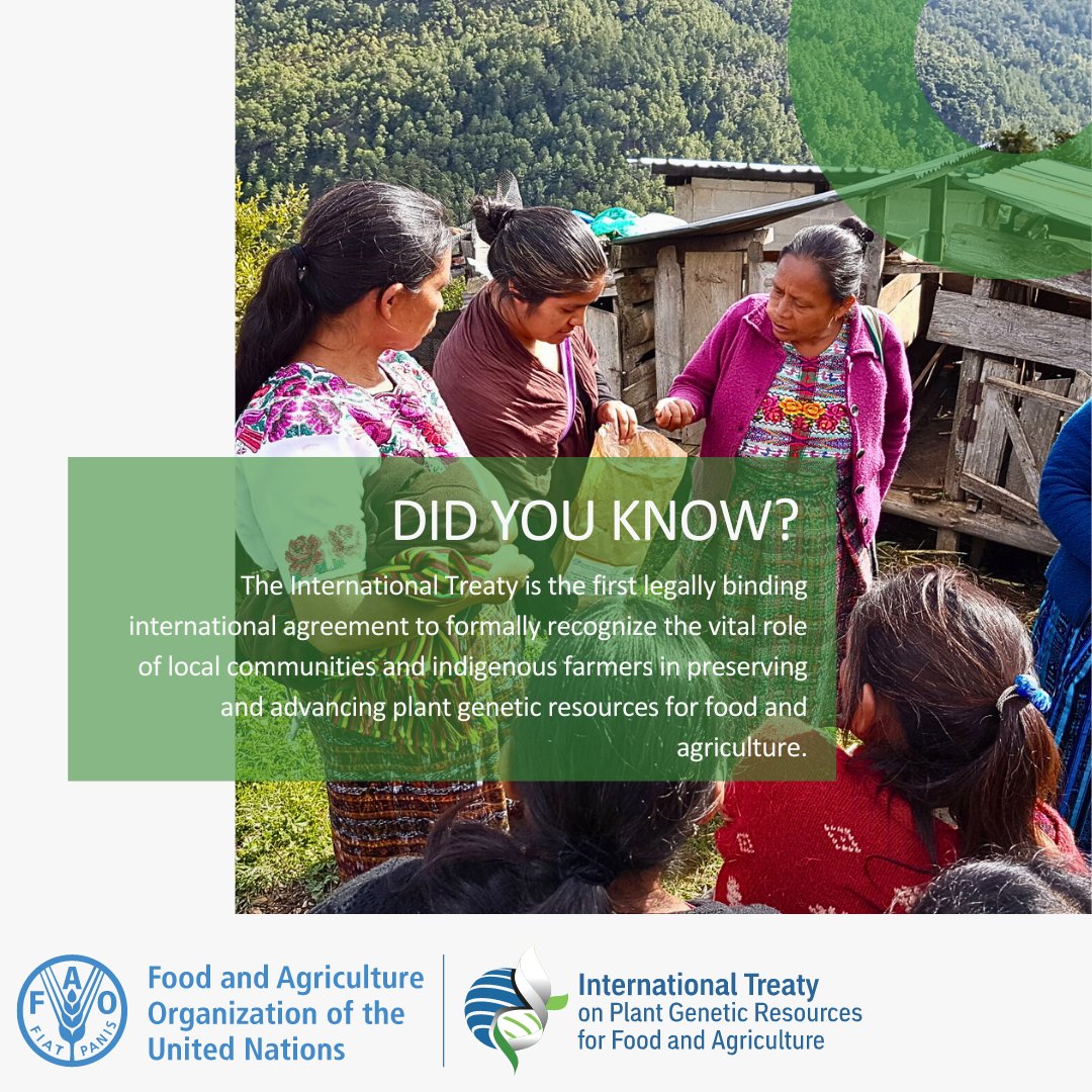 💡 DYK? The International Treaty is the first legally binding international agreement to formally recognize the vital role of local communities and indigenous farmers in preserving and advancing plant genetic resources for food and agriculture. 👨🏾‍🌾🧺 #ItAllStartsWithTheSeed🌱