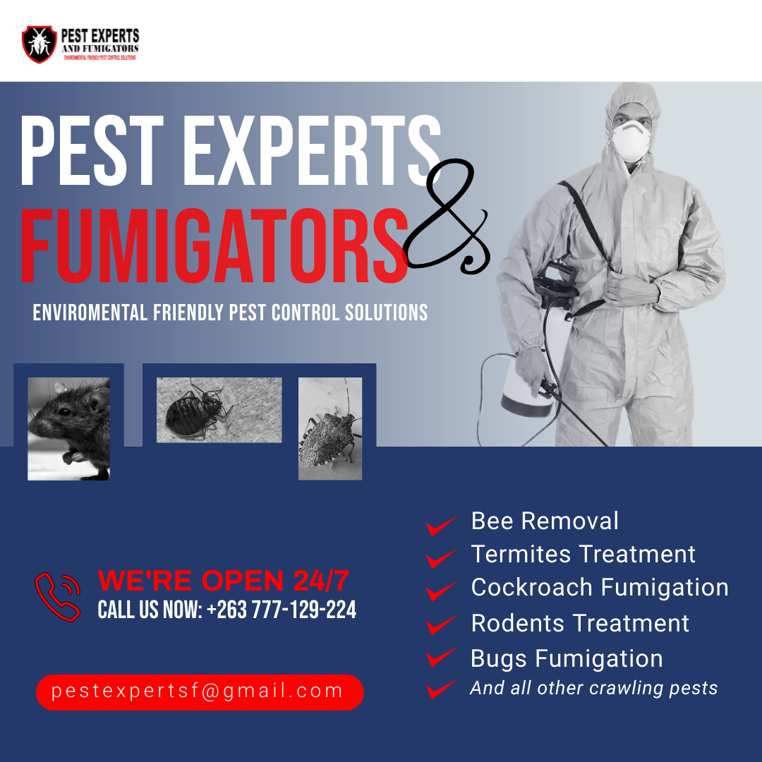 pestexperts_zw's tweet photo. Say goodbye to pesky pests and hello to savings! 🐜🚫 Enjoy a whopping 20% off on all our top-notch pest control services from 15 - 30 April. Don't miss this chance to rid your home of unwanted guests. Hurry and book now before this offer scurries away!🏃♂️💨 #HelloSavings #Harare https://t.co/4W2QCE1JbA