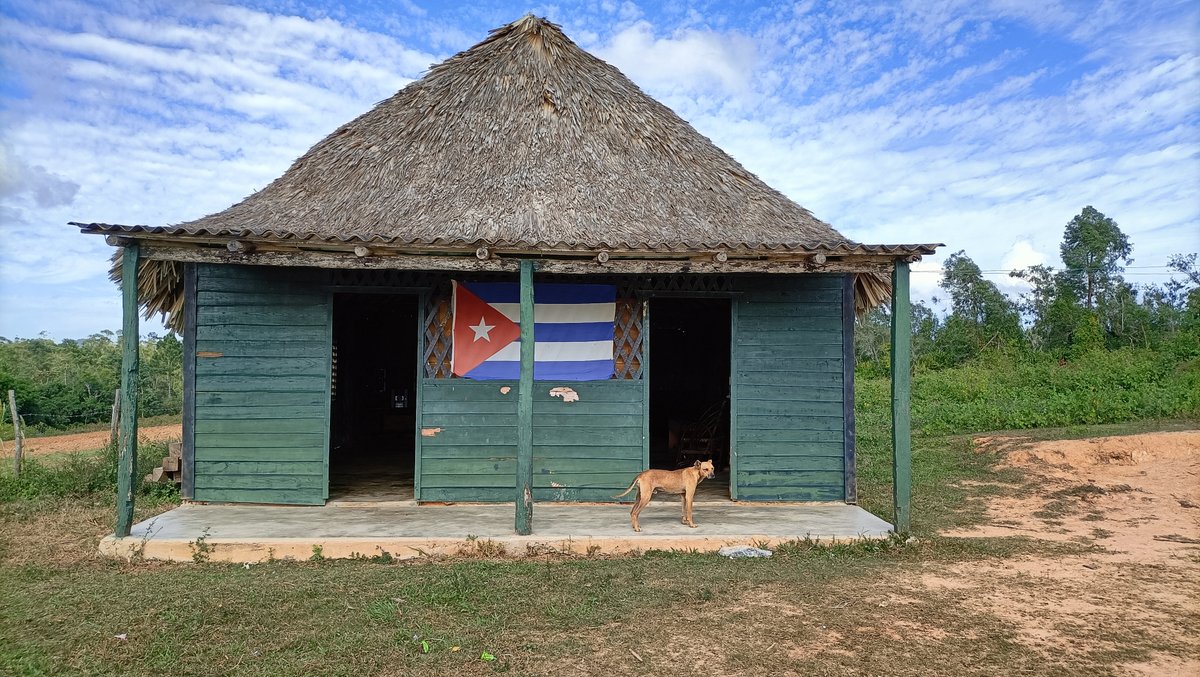 AR Le Nouveau Voyageur tweet media