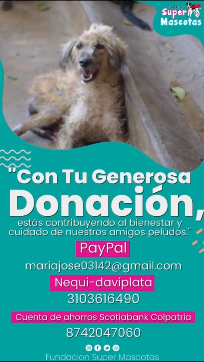 No se olviden de #LaPerramenta, ya falta poco para llegar a la meta. Faltan $ $885.991 para comprar el concentrado. Toda donación debe ir directamente a F. Súper Mascotas #RT @andreanimalidad @margaritavela @darcyquinnr @piedrahitangela @CoraimaTorresD @LaikaMascotas @DogChowCo