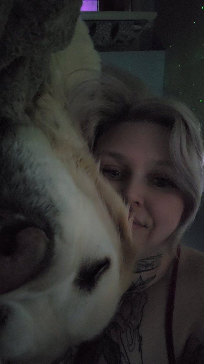 rosetta_stoned9's tweet photo. @BiP0laRex Dogggooooooos https://t.co/up8pIXAP21