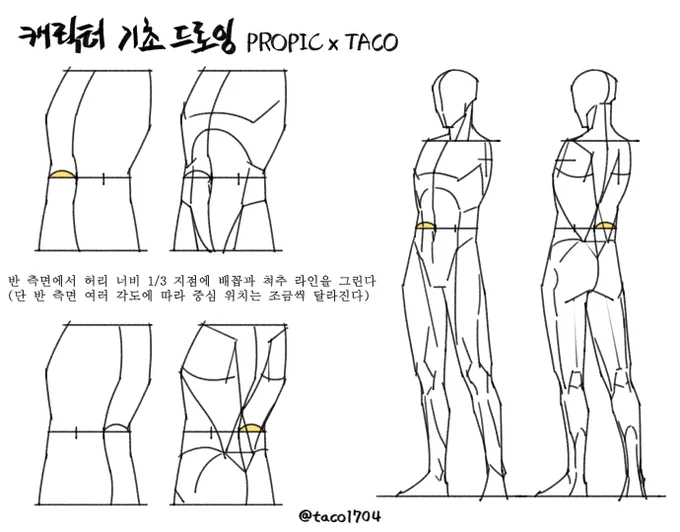 반 측면 허리 너비 1/3 지점에 배꼽과 척추 라인을 그린다 
(단 각도에 따라 반 측면 중심 위치는 조금씩 달라진다) 