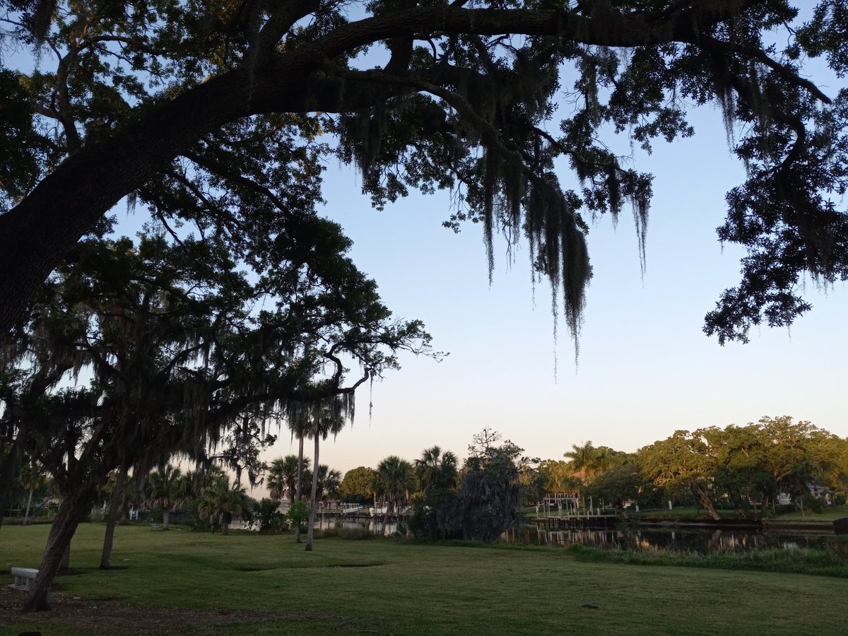 #SeminoleHeights #Tampa FL - #Monday #Mondayvibe #Sunrise  along the #Hillsboroughriver just finished #walking #calisthenics #fitness #cardio #workout #CityofTampa #TampaFL #TampaFlorida #NaturePhotography #photography #PhotoWalk #Tampaphotography #outdoors #Nature #water