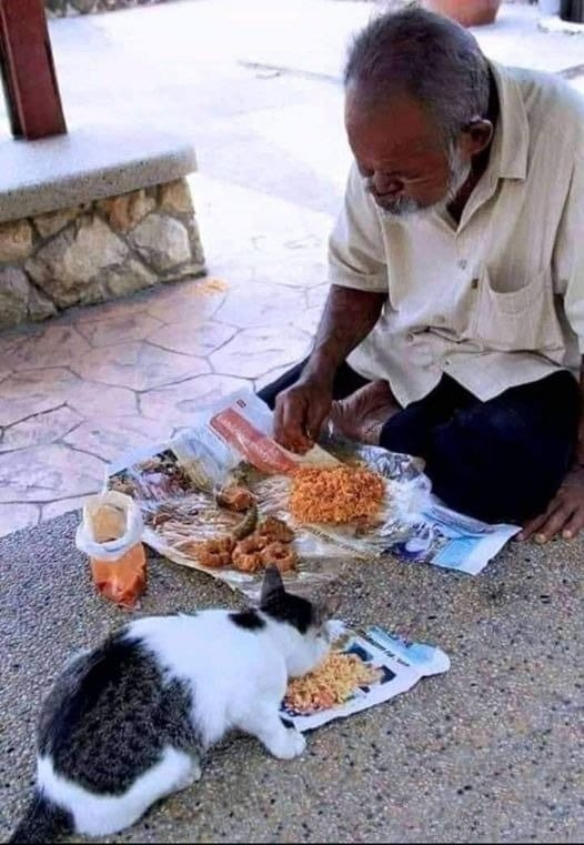 karuna_rajkot's tweet image. A Shared Meal: Man and Cat
#SharedMeal #ManAndCat #MealtimeCompanions #FeastingTogether #DiningDuo #FelineFriends #TogetherAtTheTable #BondingOverFood #CatLove #HumanAndFeline #MealtimeMoments #CatCompanion #FoodieFriends #MealtimeBond #FurryFriendship #EatingTogether