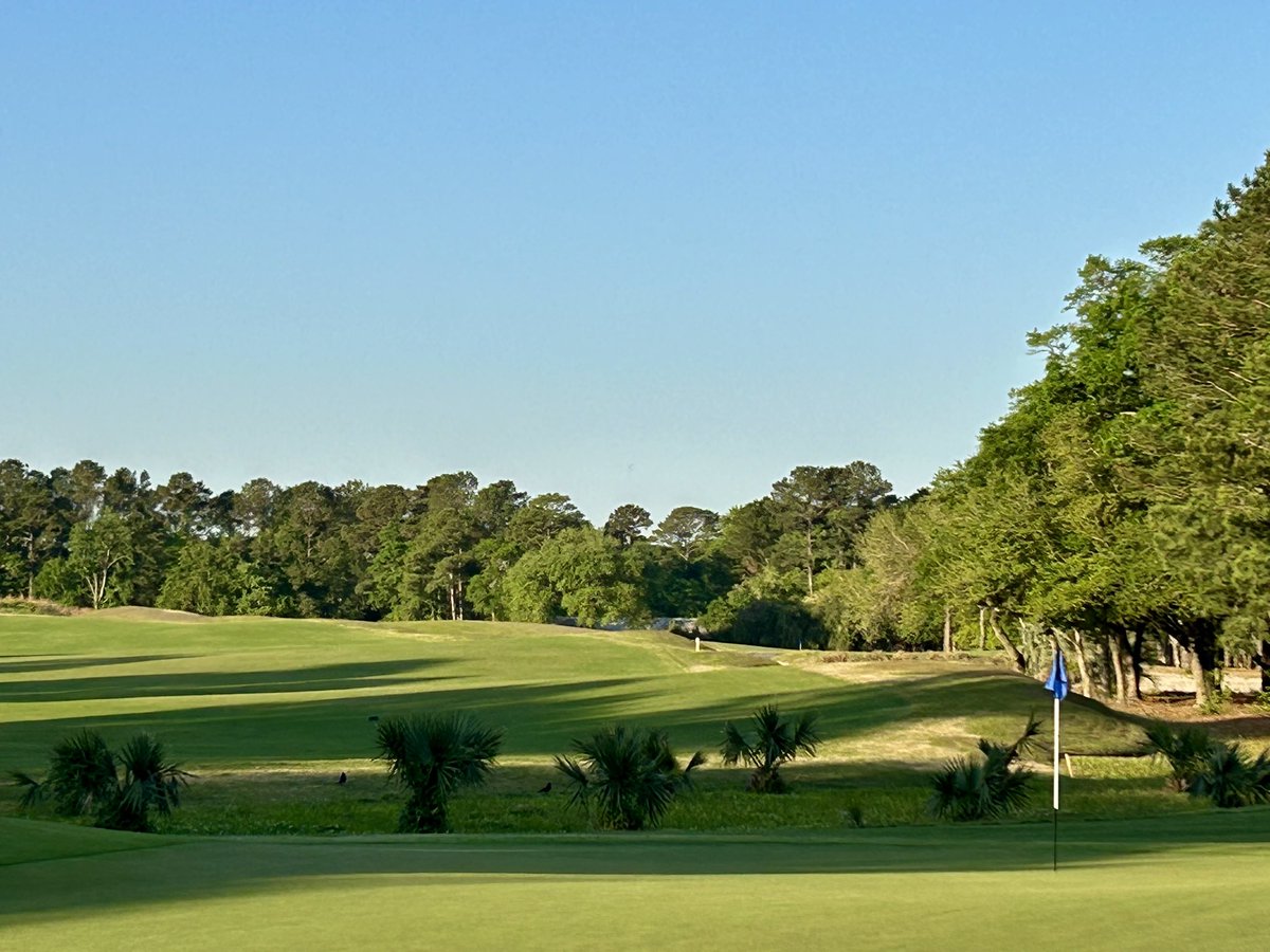 TrueBlueGolf's tweet image. It’s a “Mike Strantz Monday”😎Let’s Play! @MyrtleBeachGolf @MBTrips @MyMyrtleBeach @HammockCoastSC @GolfCrusade @golfweek #myrtlebeachgolflive #mikestrantzmonday #mondayafterthemasters #hammockcoastgolftrail #hammockcoastsc #pawleysisland #golfweektop100