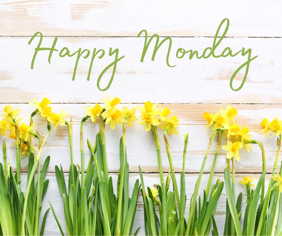 McAbeeTreeCare's tweet photo. Happy Monday from McAbee Tree Care! #makeitgreat #startyourweek #happymonday https://t.co/N2Wz2bskK2