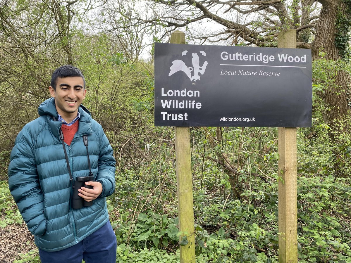 Recently, donations to @WildLondon have helped to: - Deliver 415 learning sessions for 10,000 children in 12 months - Improve knowledge of London's glow-worms - Restore Water Vole habitat near Heathrow Airport Support them and @WildJustice_org at: givewheel.com/fundraising/25…