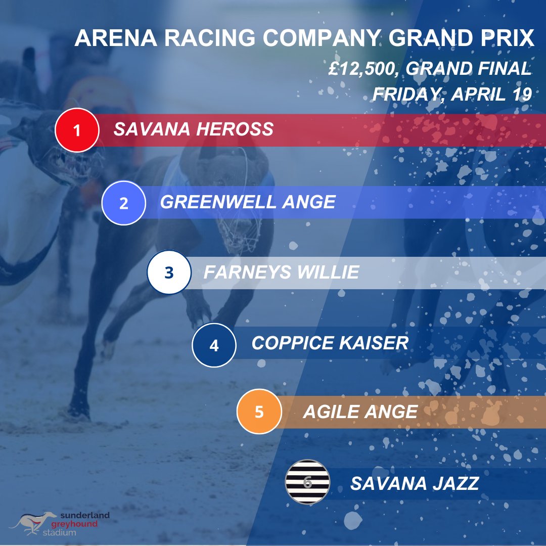 Best of luck to the Newcastle representative in tonight's @ArenaRacingCo Grand Prix at our sister venue @SunderlandDogs 🤞 🐾 Coppice Kaiser Keep track of all the action by following @SunderlandDogs through the night❗️ #ARCGrandPrix 🏆