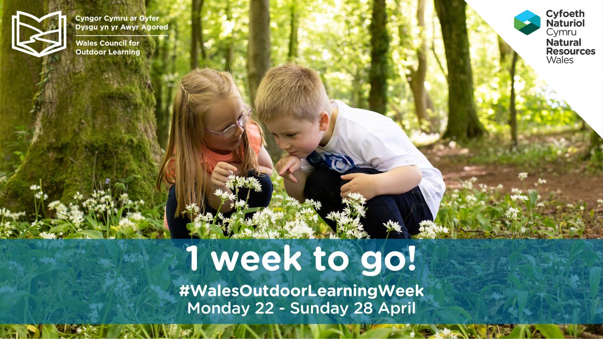 🌿 1 week until #WalesOutdoorLearningWeek! How will you celebrate our biggest and best classroom, the natural environment of Wales? ⛰️ @NatResWales