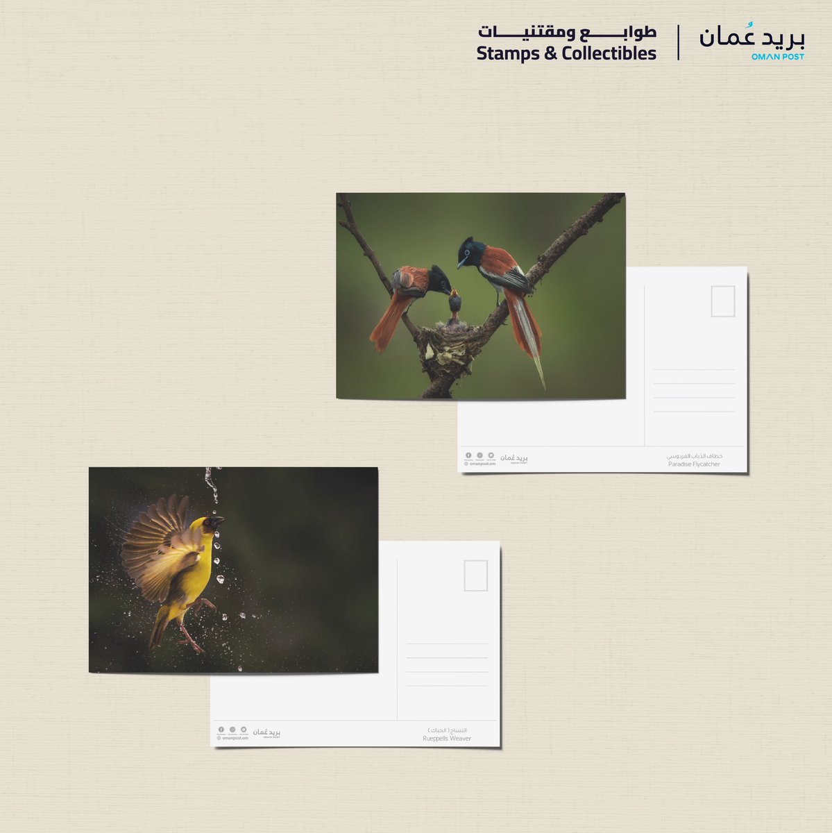 @h_shanfari In cooperation with the wildlife photographer Haitham Al Shanfari, we are pleased to announce the launch of a postcard collection with exclusive pictures of the Omani wildlife. The postcards collection is available for purchase at the #OmanPost Stamps & Collectibles shop at the…