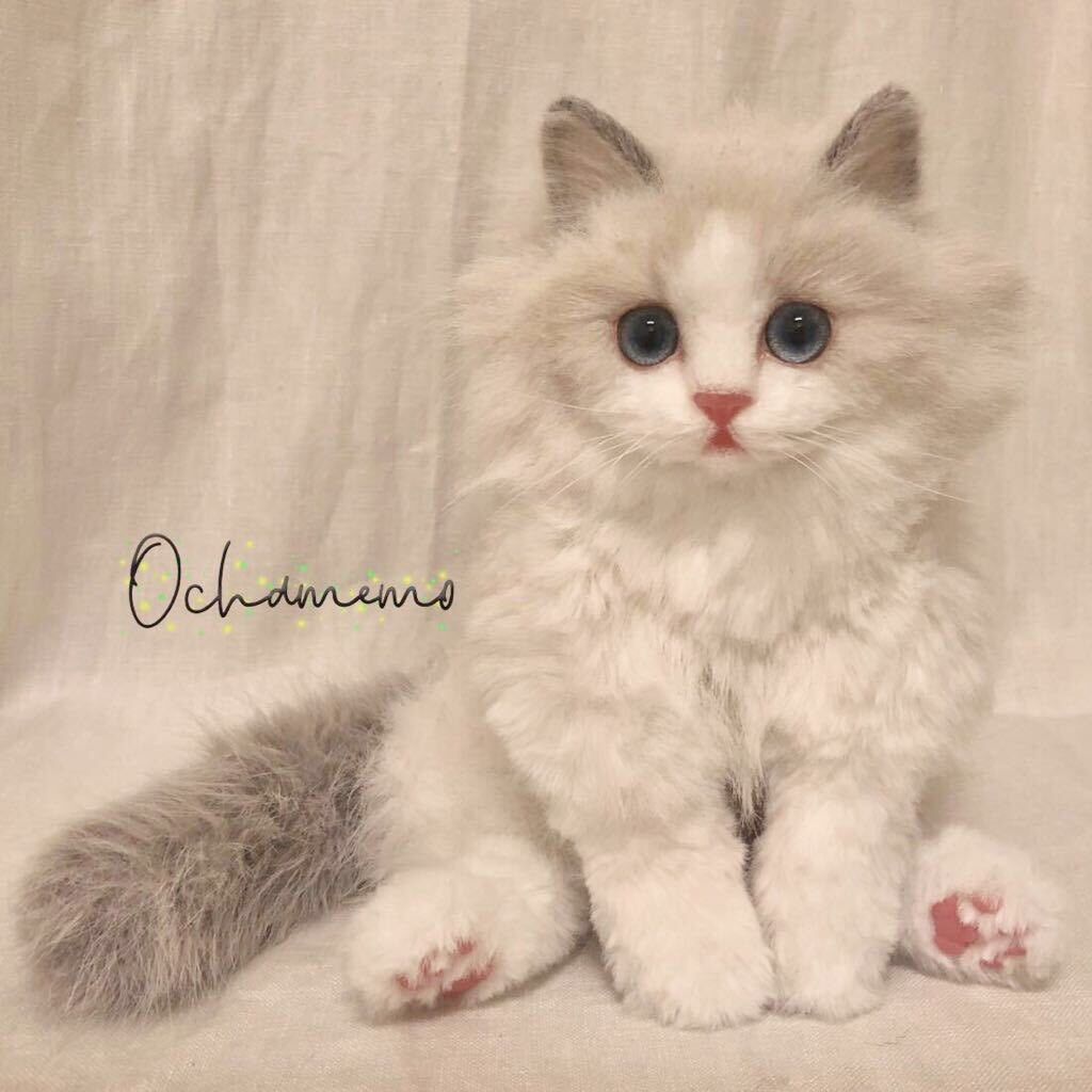 ラグドール 子猫 アートドール ぬいぐるみ 【公式通販】