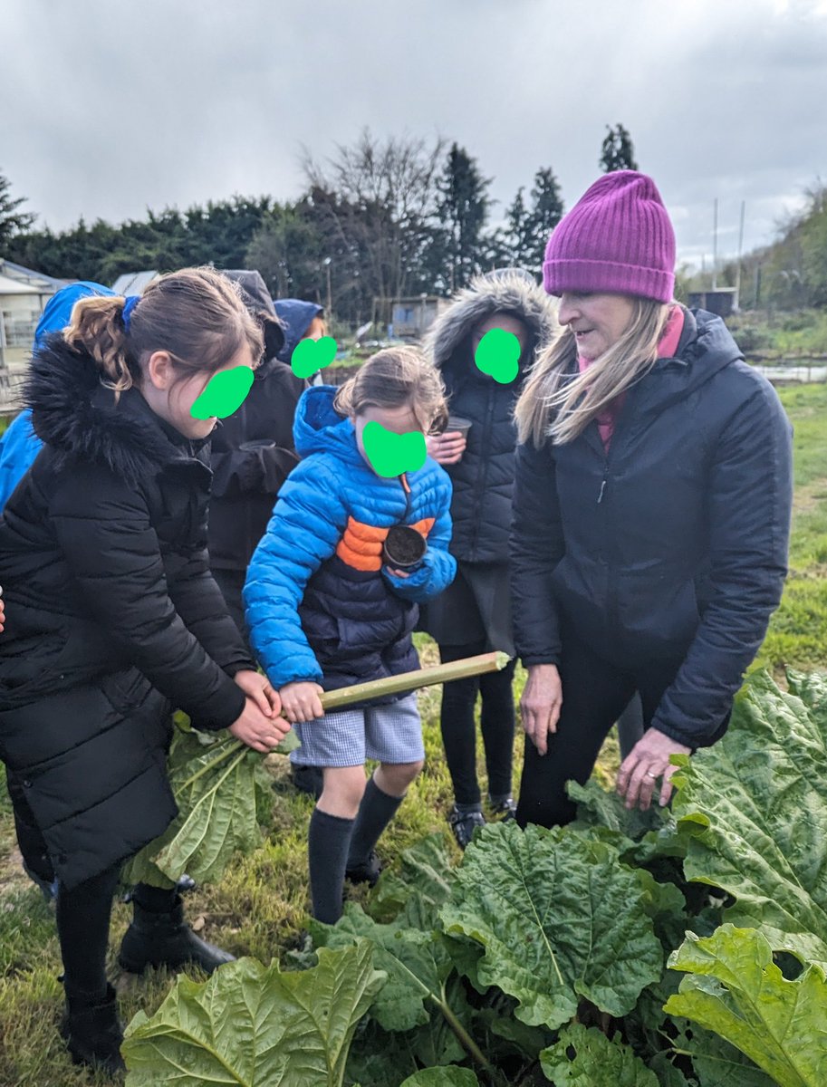 Year 4 were lucky enough to visit Combe Down allotments today to inspire their new English unit on sustainability. They will be writing persuasive letters to the council to #savecombedownallotments