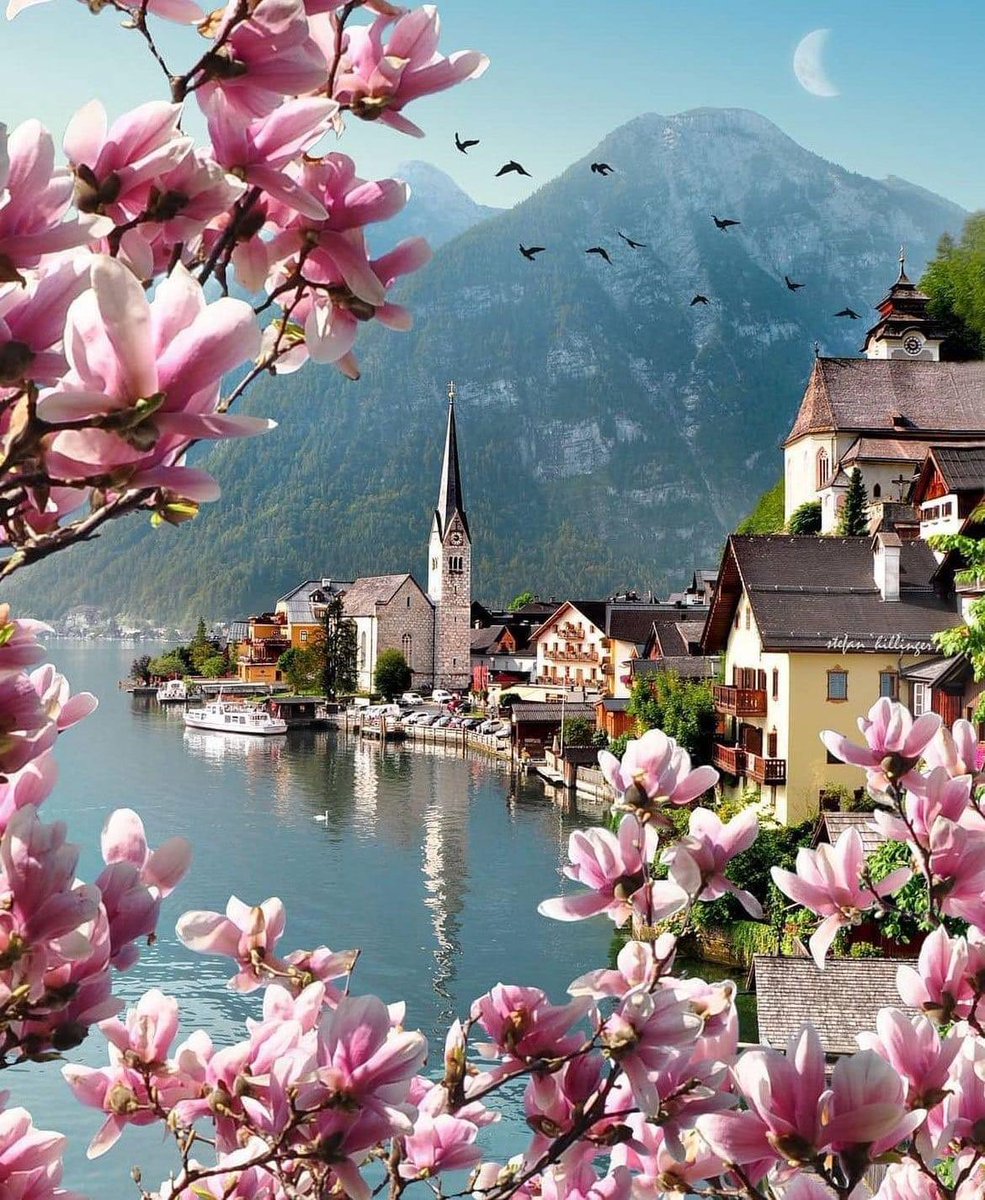 Hallstatt, Austria 🇦🇹